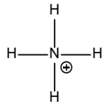 Skelettformel: Ammonium-Ion (NH4+) mit zentralem N und vier H-Atomen, positives Ladungszeichen